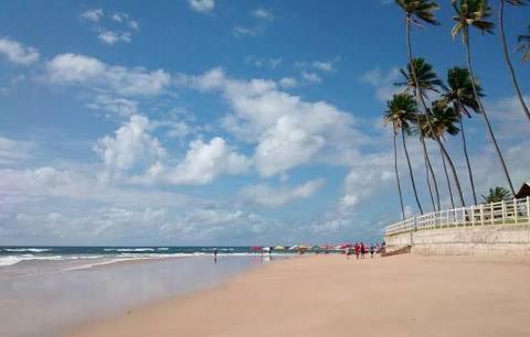 Palm Village - O Melhor De Cupe E Porto Pôrto das Galinhas Extérieur photo